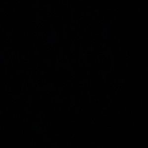 Meet your Posher, Polb